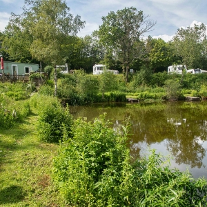 Redwell   17 06 2020   D500   Les 385.jpg